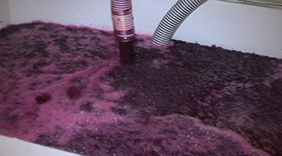 Wine Filtration