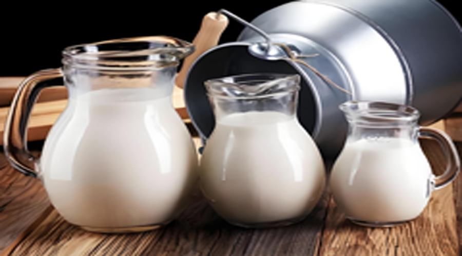Dairy Products Filtration